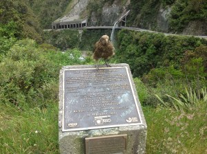 Lintu_repi tiivisteet autosta